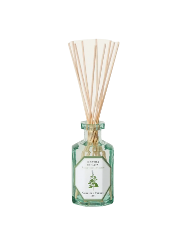 Diffuseur Menthe Verte Comparez plus de prix