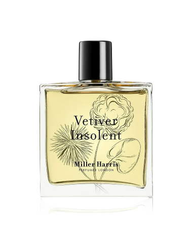 Vétiver Insolent en stock